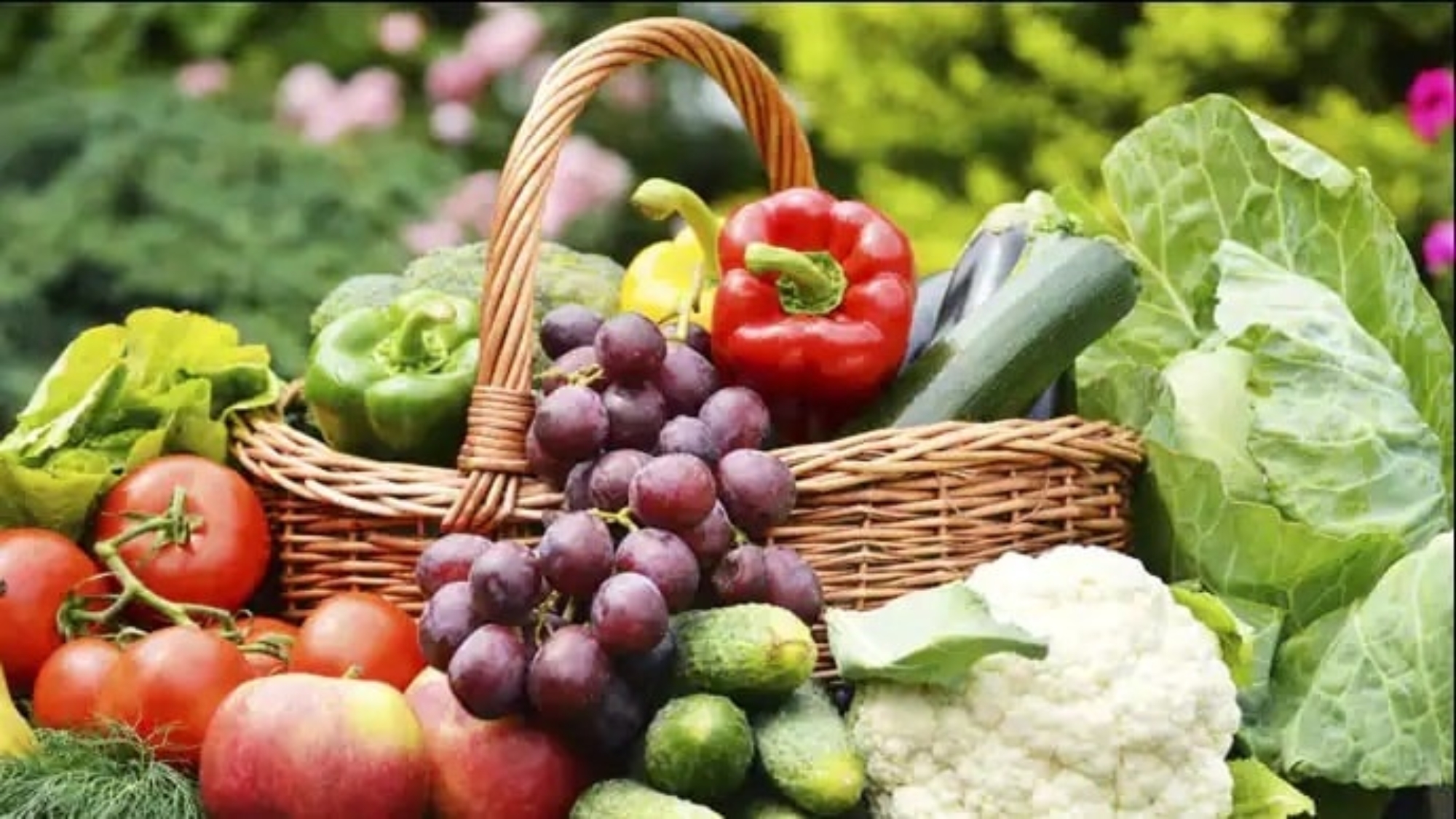 How To Incorporate A Healthy Diet Plan Into Your Life