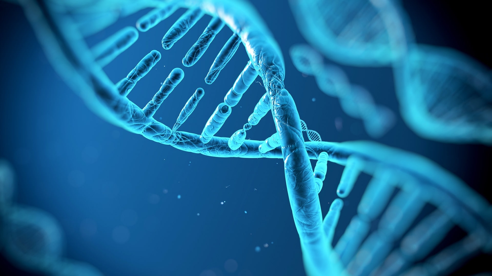 New Medical Studies Provide Insights Into Risk Factors for Disease and Longevity