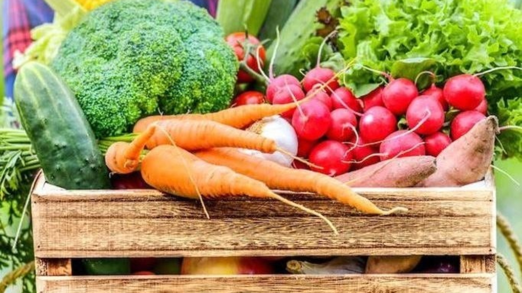 Protecting animals and the environment through plant-based diet by createthatbody.com