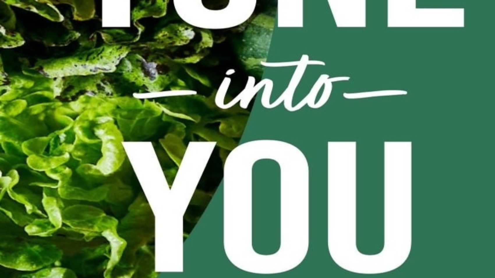 The Benefits Of Taking The Right Dietary Supplements