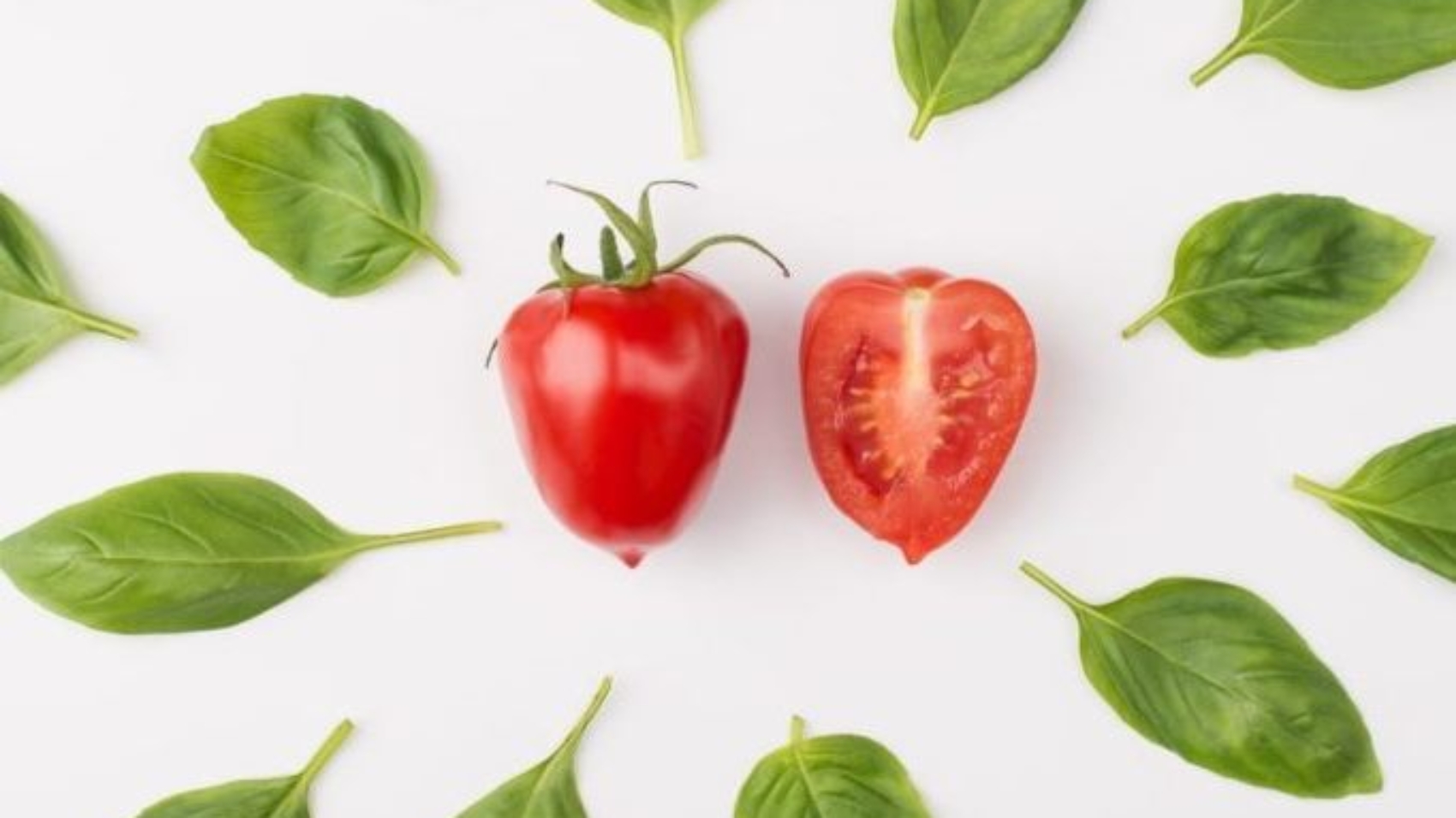 Create That Body Mindset, Plant-based Nutrition And Fitness Coaching